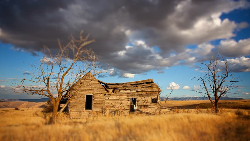 Header of homesteader