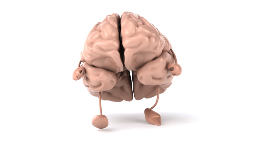 Animated X-ray Of A Brain With The Different Areas Highlighted To Make ...