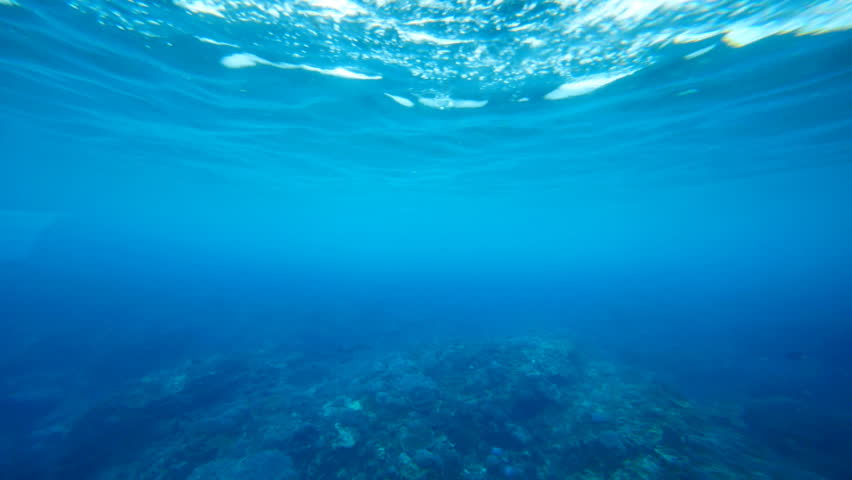 underwater background clipart - photo #23