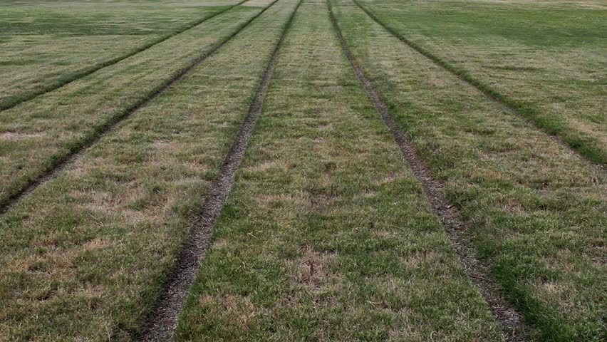 Close Up POV Shot Of Travelling Along A Railway Line Narrow Gauge