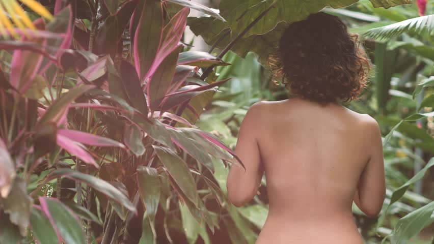 tamil aunties hidden nude from Bodie naked girl in the jungle vid