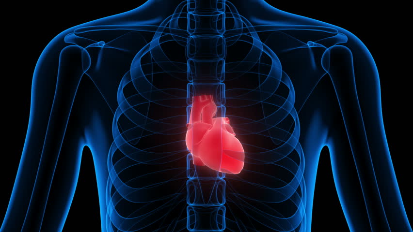 Medical Animation Showing A Healthy Beating Heart Stock Footage Video