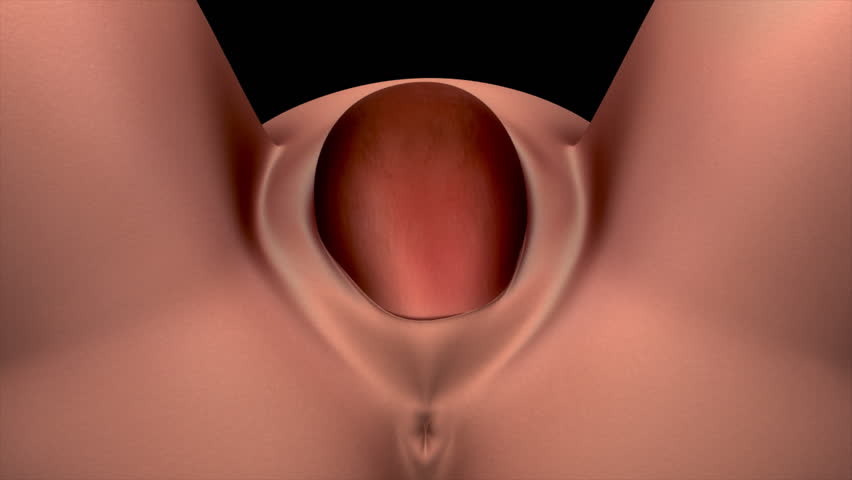 vaginal birth vedio indian couple honeymoon sex video