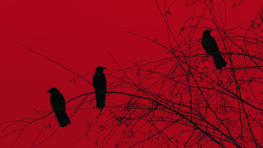 What does three black crows symbolize