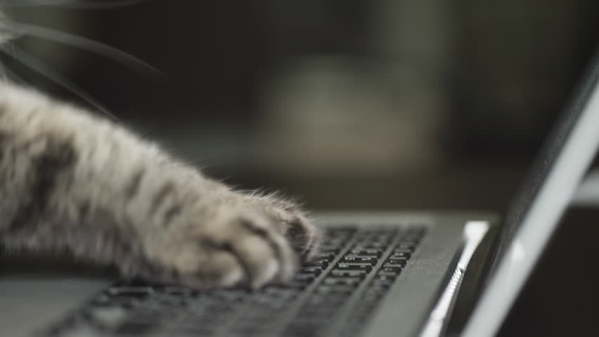 Header of text