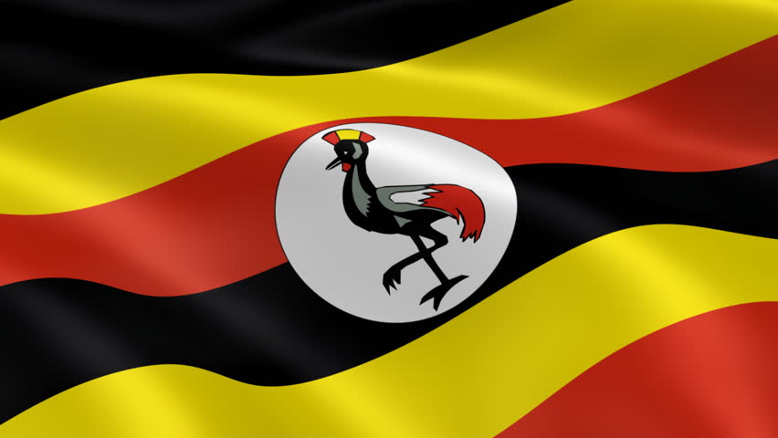 Flying Flag Of Uganda Looped Stock Footage Video 913102 - Shutterstock