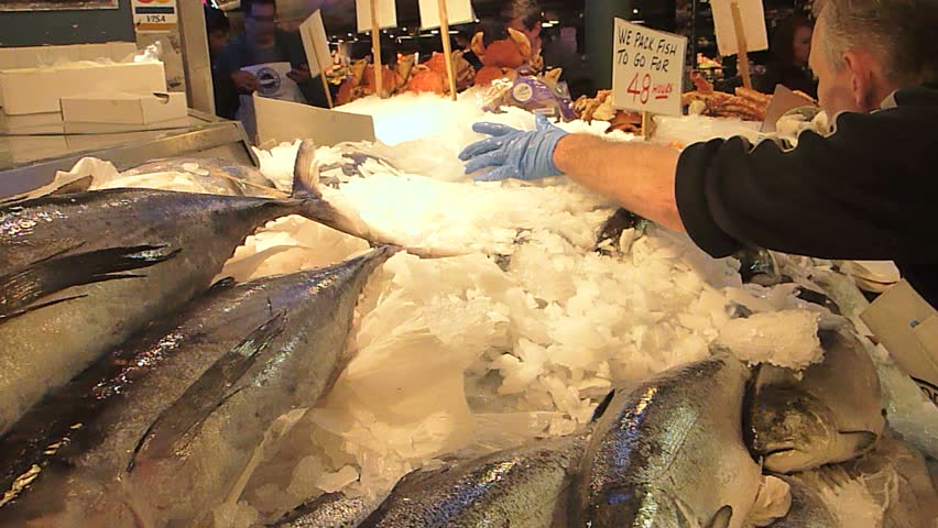 Header of albacore