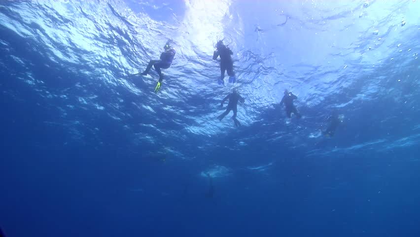 Underwater With The Camera Looking Up At The Surface Of ...