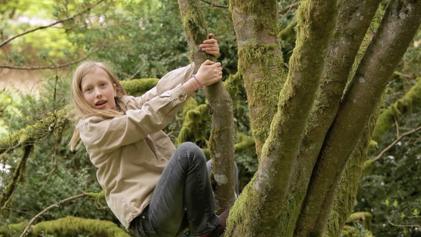 Young Girl Climbing A Tree Stock Footage Video 2240347 - Shutterstock