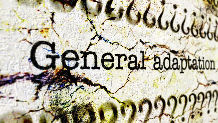Header of adaptation