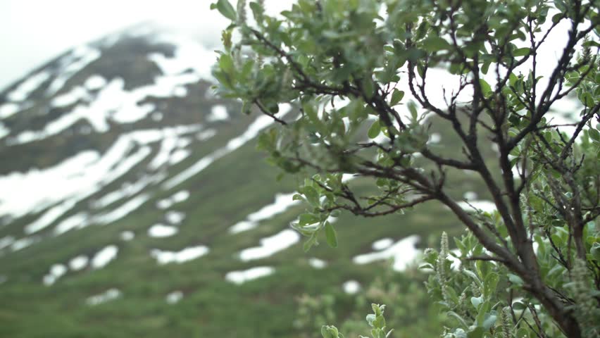 Header of 63