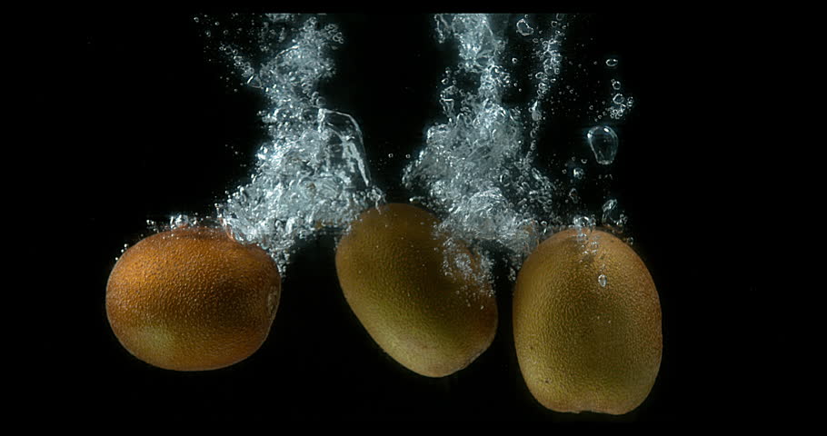 Header of Actinidia Chinensis
