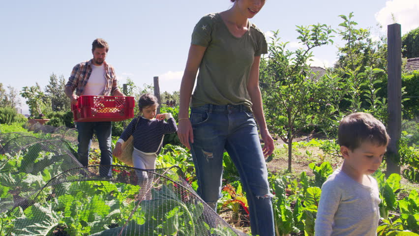 Header of allotment