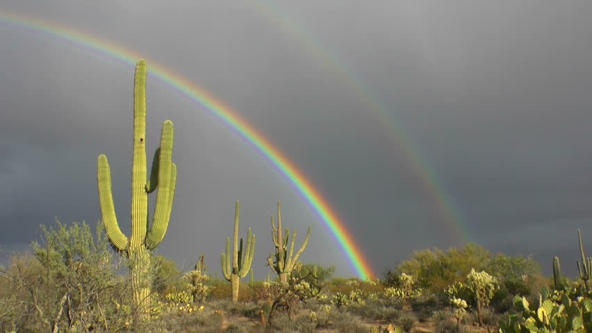 Magnificent, Vibrant Double Rainbow Lights Up Saguaro Cactus In Arizona