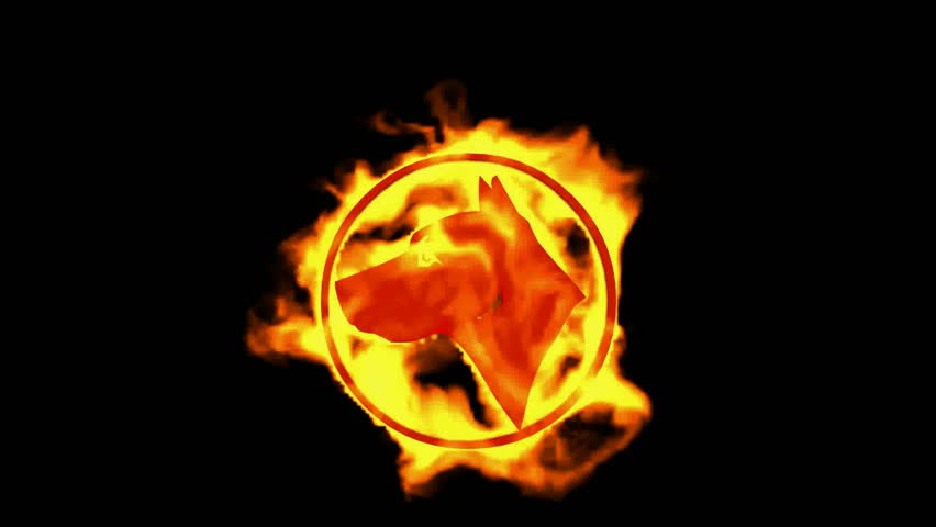 chinese-zodiac-of-fire-dragon-and-handwriting-chinese-kanji-china