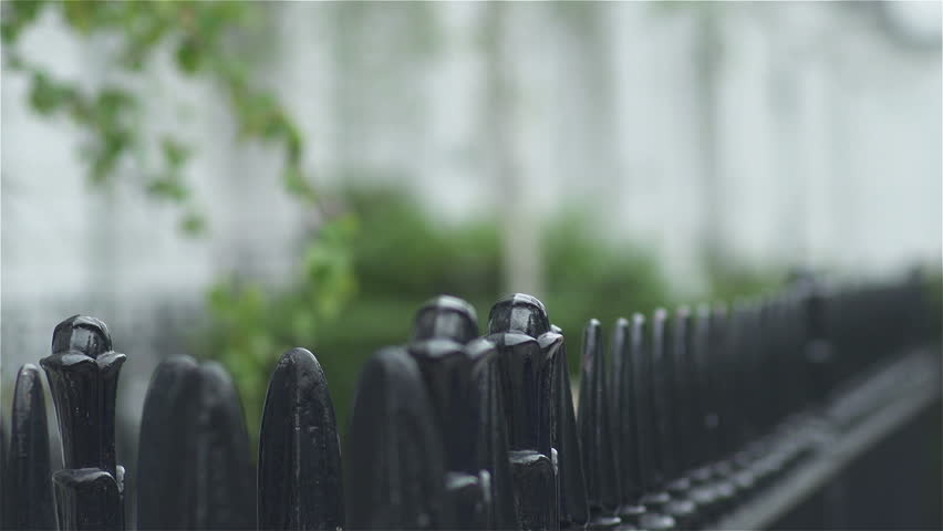 Header of Chelsea