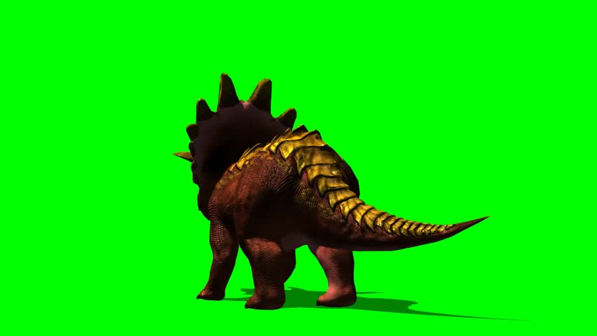 Dinosaur Triceratops Video Dinosaurs Triceratops