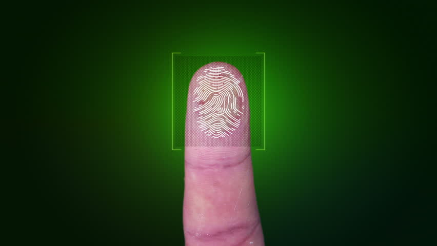 Resultado de imagen para fingerprint matrix