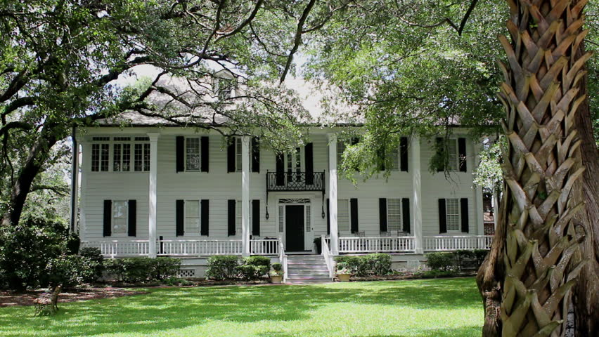 Plantation Stock Footage Video - Shutterstock