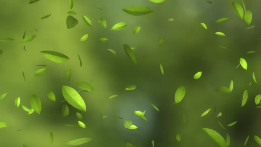 Falling Green Leaves - Looped And Alpha Masked Stock Footage Video