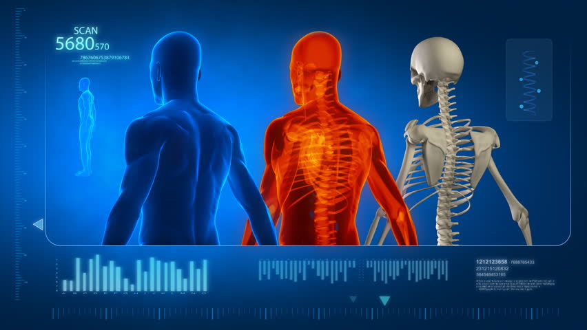 Header of human body