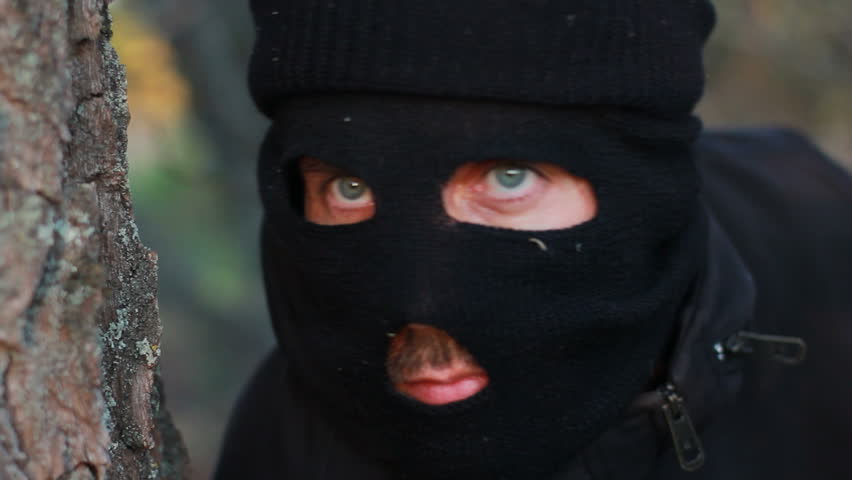 Image result for masked criminal