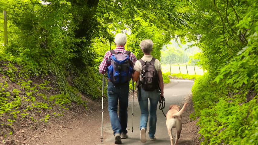 hiking with dogs