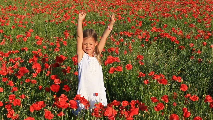 Girl Surrounded By Poppy Flowers Stock Footage Video 803842 Shutterstock