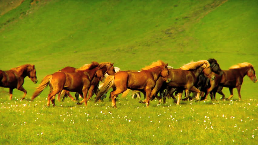 Header of 60