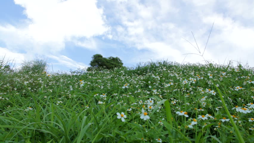 blue sky thai massage daisy thai blue sky thai massage daisy thai