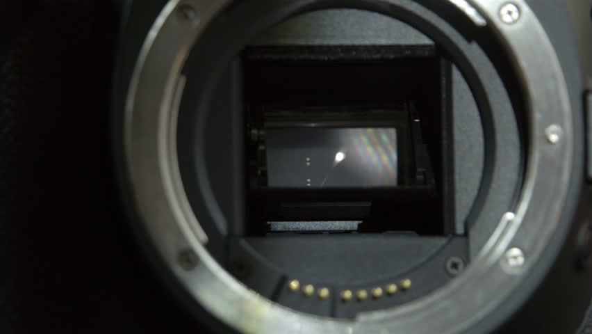 wear os camera shutter