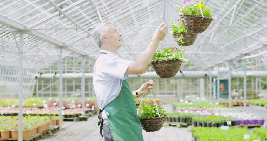 the new plant manager essay The new focus has addressed operations management in the spotlight of business because this function can help the companies achieve their. the new plant manager essay The new focus has addressed operations management in the spotlight of business because this function can help the companies achieve their.