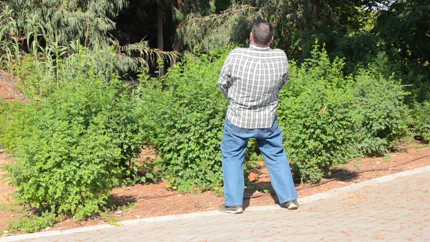 Booty recommends best of Man peeing in public public Man peeing in