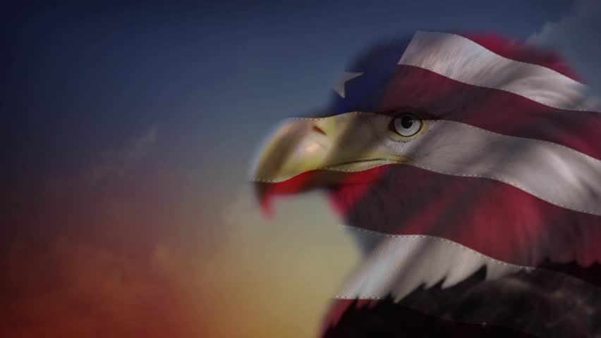 US Flag With Eagle And Fireworks Stock Footage Video 10630874 ...