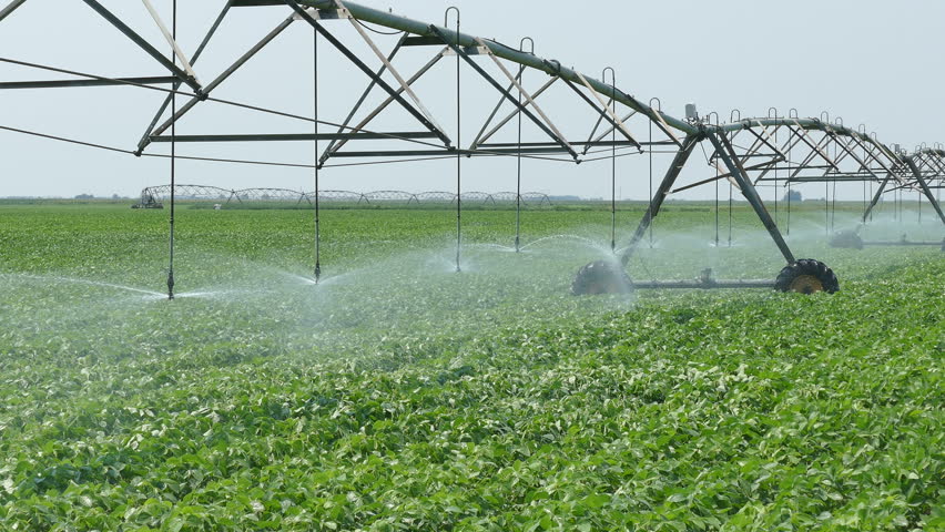 Soybean Field With Irrigation System For Water Supply, HD Footage Stock ...