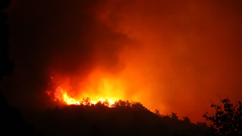 Fire Storm In The Forest Hell On Earth; Horrific Fire Destroys ...