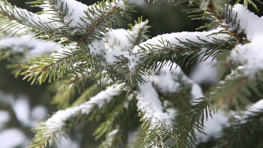 Snow Falling On A Beautiful Shiny Christmas Ornaments In A Natural ...