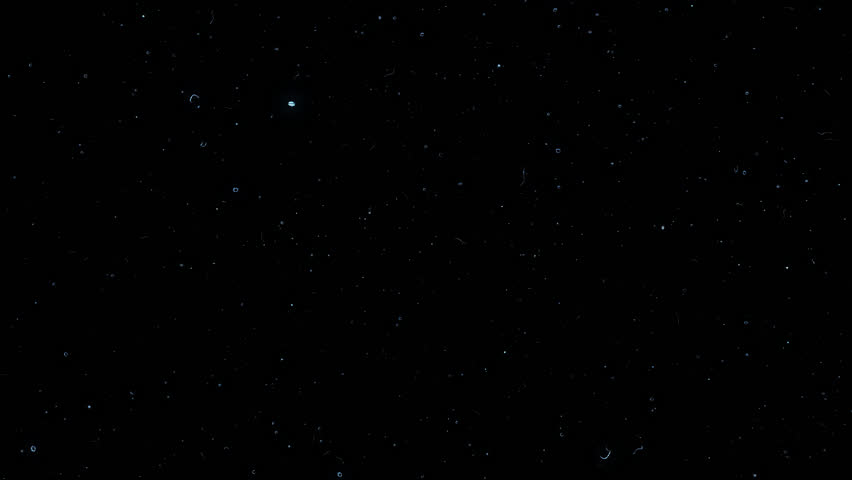 Timelapse Of Stars Moving In Night Sky, Starry Sky Turning Around The ...