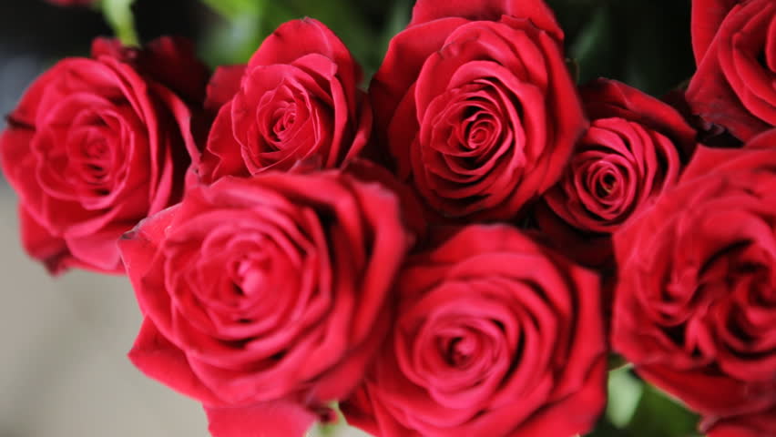 Valentine's Day, Water Drops On Red Roses, Slow Motion Stock Footage ...