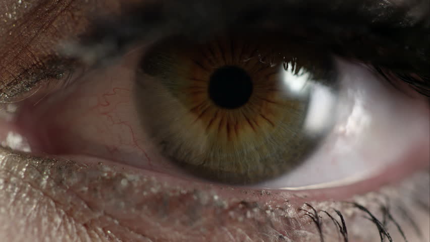 Eye Iris And Pupil Macro. Reflected Moving Light Rays Into The Human ...