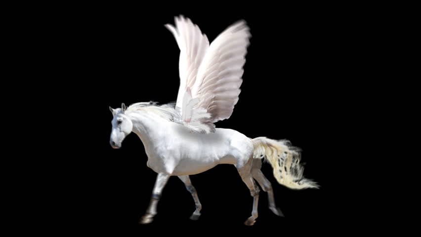 PEGASUS Mythological Flying Horse.2D Animation.HD 1080.Seamless Loop ...