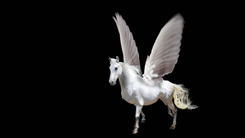 PEGASUS Mythological Flying Horse.2D Animation.HD 1080.Seamless Loop ...