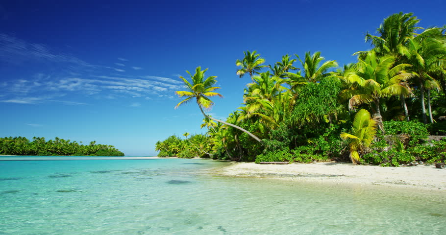 Breathtaking Clear Beach Scenic On A Tropical Shore In Daintree ...