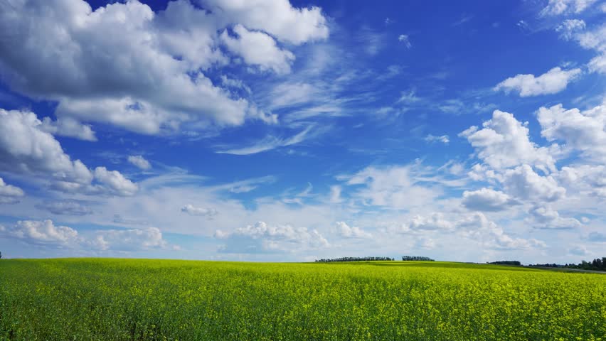 4K. Timelapse Clouds Over The Green Field. FULL HD, 4096x2304. Stock ...