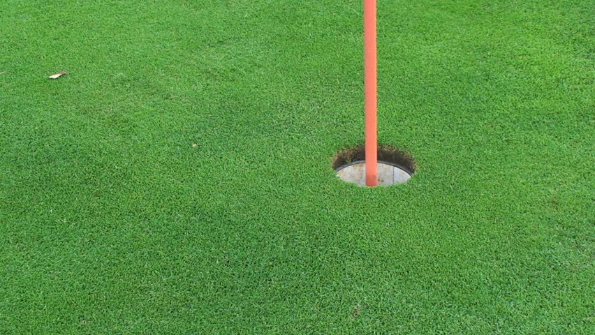 Golf Ball Going Into The Hole Stock Footage Video 227887 - Shutterstock