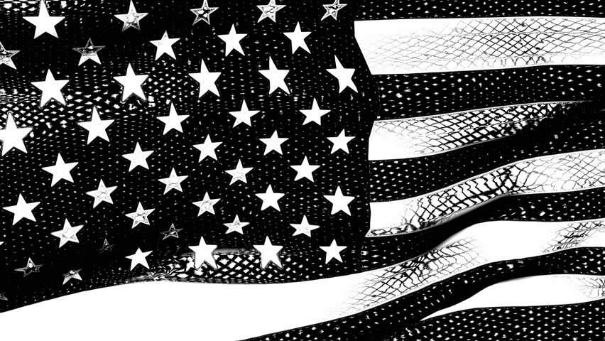 HD - American Flag 0212 - A Graphic Black And White American Flag Waves ...