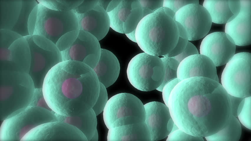 Aqua Coloured Semi Transparent Cells Showing Nucleus Moving With Black ...