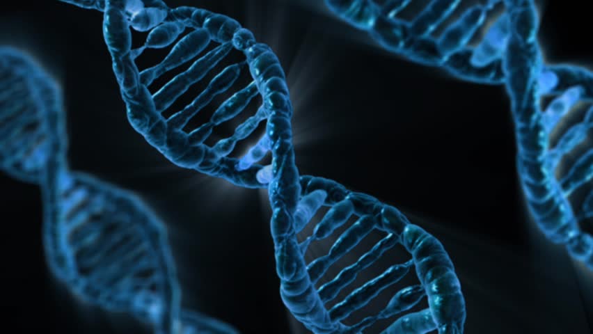 Dna Animation With Alpha Matte Stock Footage Video 943009 - Shutterstock