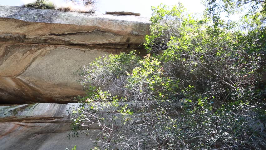 Domboshawa Caves At Harare In Zimbabwe. Some Cave Paintings To Be Over ...