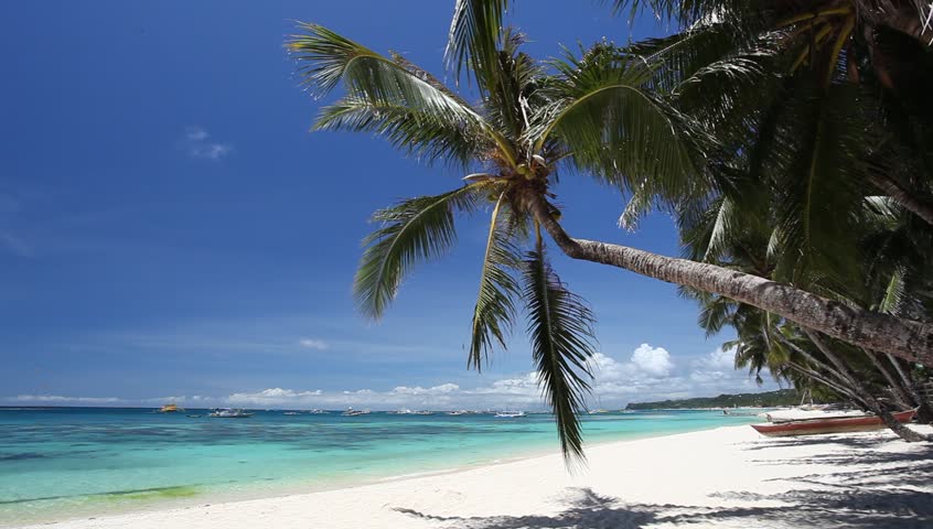 Caribbean Tulum White Sand Beach With Two Palm Trees And Boat Stock ...